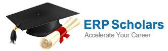 ERP Scholars Logo